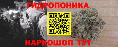 сатива Краснодар