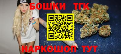 сатива Краснодар