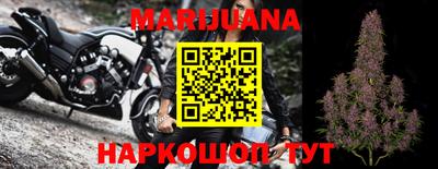 сатива Краснодар