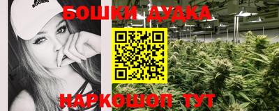 сатива Краснодар