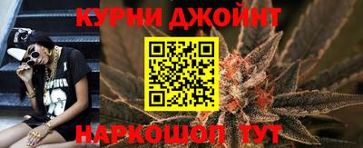сатива Краснодар