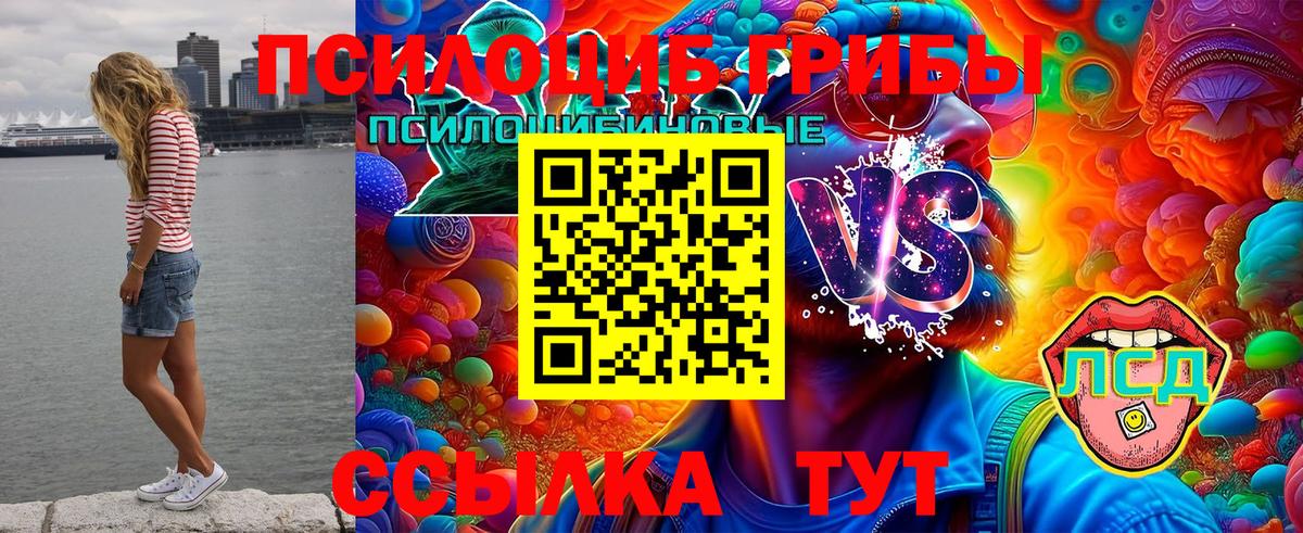 Псилоцибиновые грибы прущие грибы  Галлюциногенные грибы мухоморы  Вход с VPN  Ковров 