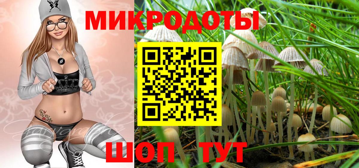 Псилоцибиновые грибы Magic Shrooms Ковров